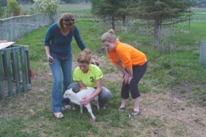 Book a tour of Naturescapes Gardens and Sullindeo Farm