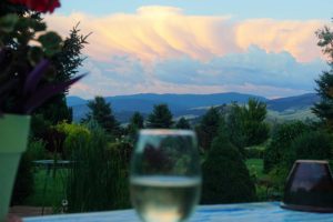 Host your special event in Naturescapes Gardens